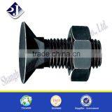 Main Product Plow Bolt Grade 10.9 Black Finished Plow Bolt Flat Head Countersunk Bolt