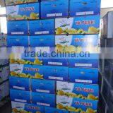 Fresh Pears/New Fresh ya Pear/Fresh ya Pear thumbnail-2