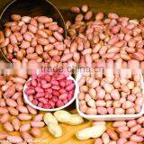 Good Peanut Kernels for Oil thumbnail-1