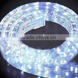 PVC twinkle lighted flex led strip