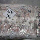 FROZEN SQUID WHOLE thumbnail-1