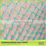 Chinese Credible Supplier Net Anti Bird Netting thumbnail-4