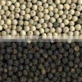 BLACK AND WHITE PEPPER thumbnail-2