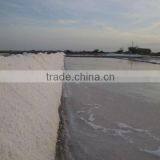 Crystal Salt Iodized thumbnail-3