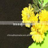 Microelement Fertilizer thumbnail-5