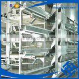 H Type Best Price Poultry Farm Egg Layer Chicken Cage thumbnail-5