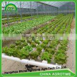 Hot Used Sale Hydroponic Tropical Greenhouse for Tomato thumbnail-3