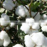 Strong Washing Line 100% Cutton 4 Strands Twisted Rope 10M thumbnail-2