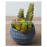 SJ10181201 Wholesale All Types Of Artificial Cactus Plants thumbnail-2