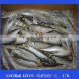 Frozen Good Quality BQF Horse Mackerel thumbnail-1