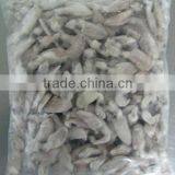 Baby Squid Product thumbnail-1