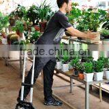 Folding Wheeled Cart thumbnail-2