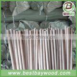 Dry Natural Indian Broom Stick Factory in China thumbnail-4