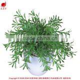 Nearly Natural Mini Succulents Potted Plant Small Succulents thumbnail-3