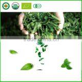 Gift Packing Chinese Mini Puer Tuo Cha Tea From Yunnan Province thumbnail-4