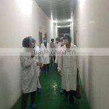 Zhengzhou Holly Charm Fine Foods Co., Ltd. company overview - view 1 thumbnail