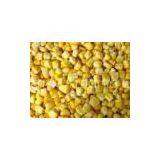 IQF Sweet Corn Kernels thumbnail-1