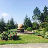 Zhejiang Linix Motor Co., Ltd. company overview - view 2 thumbnail