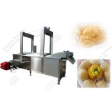 Hot Selling Pani Puri Frying Machine/Pani Puri Fryer Machine