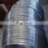 Stainless Steel Wire Food thumbnail-6