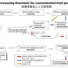 GENYOND Industrial Washing Machine Fruit Processing Line Vegetable Processing Food Washing Equipment thumbnail-4