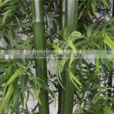 High Quality Fake/Artificial Bamboo Tree thumbnail-1
