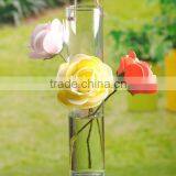 Clear Hanging Vase Hydroponics