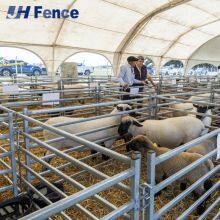 Solid Sheep Panel Fencing: Unclimbable & Gnaw-Proof Barrier With No Mesh for Ultimate Flock Security thumbnail-1