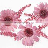 Beautiful Pink Flower Wall Stickers 2013 thumbnail-1