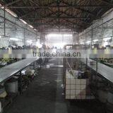 Guangdong Three A Stainless Steel Products Group Co., Ltd. company overview - view 4 thumbnail