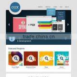 Website Portal Design