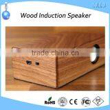 for IPhone Electromagnetic Induction Amplifier Speakers