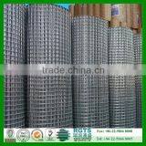 Welded Wire Mesh/ Galvanized Welded Wire Mesh/ PVC Coated Wire Mesh thumbnail-5