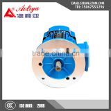 AC asynchronous industrial 3 phase motor