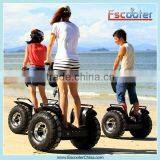 Leading Chinese Manufacturer Produced 2 Wheel Electric Scooter Shanghai 2000w With Elegant Design and Low Price thumbnail-1