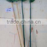 Bamboo Handle Kids Butterfly/fishing Net thumbnail-2