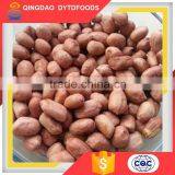 Top Quality Dry Roasted Red Skin Peanuts Salted thumbnail-3