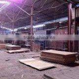 Long Luu Produce And Trading Company Limited company overview - view 1 thumbnail