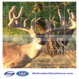 Low price grassland fence,deer fence,cattle fence,sheep fence factory direct