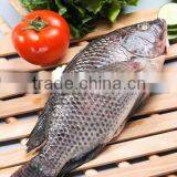 Fresh Frozen Black Tilapia Gutted and Scaled thumbnail-1