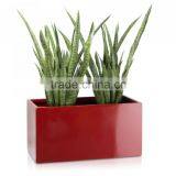Hot Sale Fiberglass Resin Pot Planter for Decoration thumbnail-1