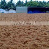 Pure & Original Coconut Peat Block From India