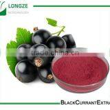 Spray-dried Black Currant Fruit Powder Black Currant Extract With Anthocyanidins 25% 4;1,10:1 and 20:1