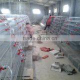 6 Tires 400 Automatic Quails Cage One Side/6 Tiers Two Sides 800 Quails Cages thumbnail-2