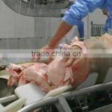 Best Price Pig Slaughterhouse Equipment Skin Removed Machine For Hog Abattoir Slaughter Plant thumbnail-6