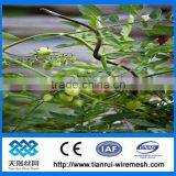 Tomato Spiral Plant Stake Wire thumbnail-1