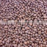 Lightweight Expanded Clay Pebbles for Concrete Wall (4-8mm)(16-3mm) as Your Requirement thumbnail-4