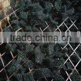 Foam Triangle for Gas Oil Filter, Filter Foam for Oil Filter