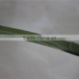 Home Decoration Brand Name Artificial Flowers Fabric Chrysanthemum thumbnail-4