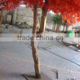 Wholesale Artificial Maple Tree thumbnail-3